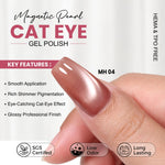 image, Shills Professional 4 Pcs Cat Eye Gel Polish Set – Maharashtra Midnight Mirage