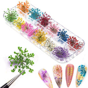 Sevyn Colors Natural Dried Flower Nail Art Supplies – Real Pressed Floral Decor (Multicolor Kit)