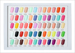 image, Shills Professional Gel Polish Kit 65 pcs ( Vagad )
