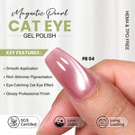 image, Shills Professional 4 Pcs Cat Eye Gel Polish Set – Punjab Platinum