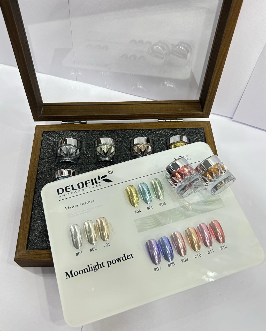 Delofil Professional Moonlight Powder Set | Luxury Chrome & Plaster Texture Nail Powder Collection